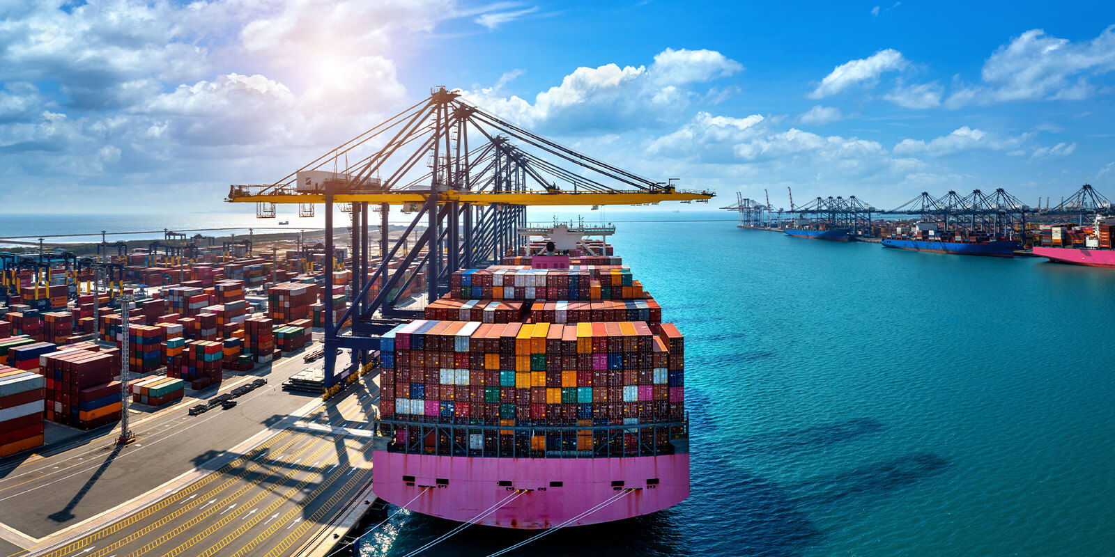 واردات کالا